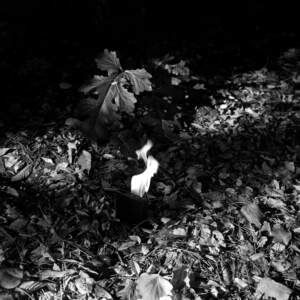 Tanja Verlak, Midnight in Mumbai, 2012-2017, handmade silver gelatin print