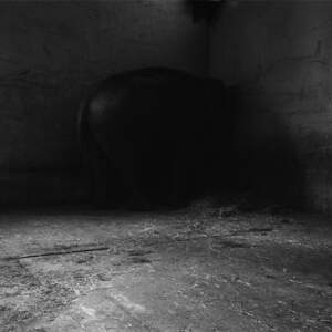 Tanja Verlak, from the series ZOO, 2004-2006, 50 x 60 cm, handmade silver gelatin print