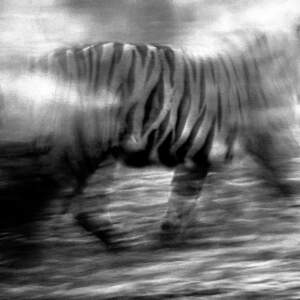 Tanja Verlak, Midnight in Mumbai, 2012-2017, handmade silver gelatin print