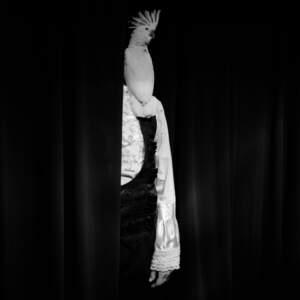 Tanja Verlak, Midnight in Mumbai, 2012-2017, handmade silver gelatin print