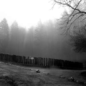 Tanja Verlak, from the series ZOO, 2004-2006, 50 x 60 cm, handmade silver gelatin print