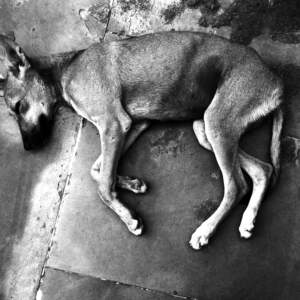 Tanja Verlak, Midnight in Mumbai, 2012-2017, handmade silver gelatin print