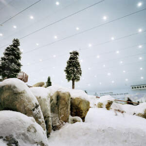 Reiner Riedler, Tree #1, Ski Dubai, Dubai, 2006