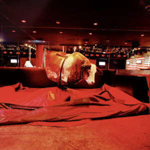 Reiner Riedler, from the series Fake Holiday