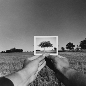 Branko Lenart / The Medium is the Message, 1976