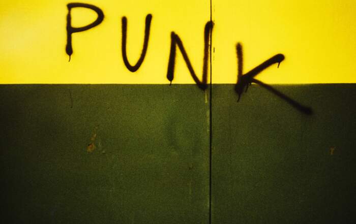 Vojko Flegar, Grafit Punk / Graffiti Punk, 1980