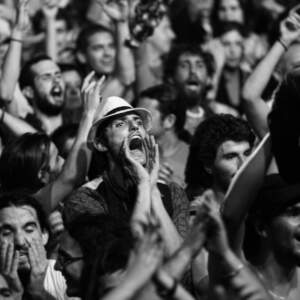 Dragan Teodorović - Zeko