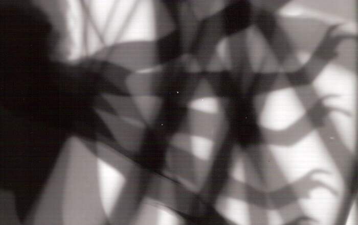 Eva Petrič, Gr@y matter