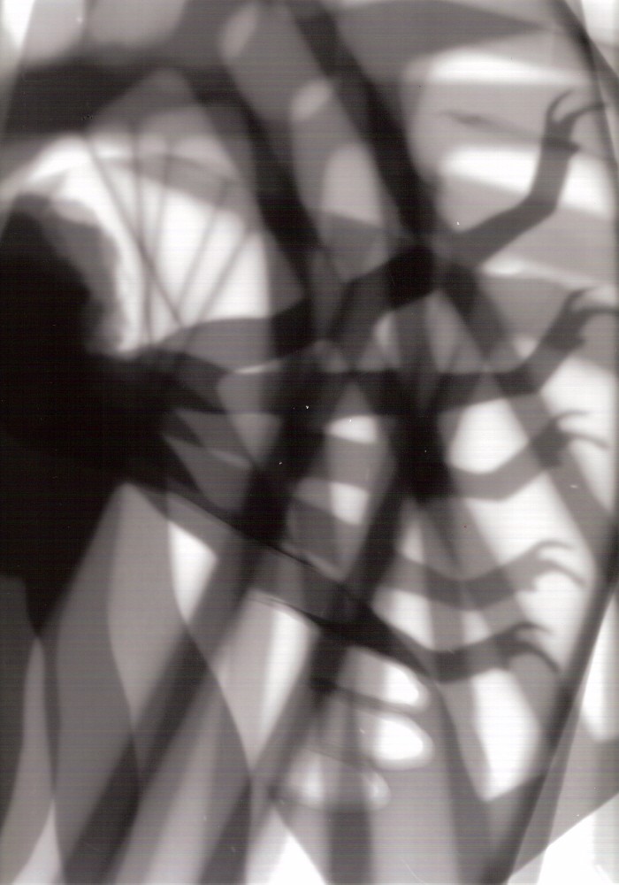 Eva Petrič, Gr@y matter