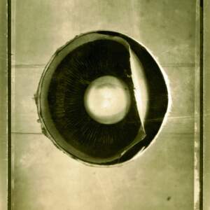 Gábor Kerekes, Eye Lens