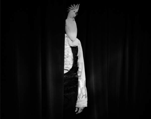 20150215-HS2-X5 009 © Tanja Verlak, Polnoč v Mumbaju, 2012-2017