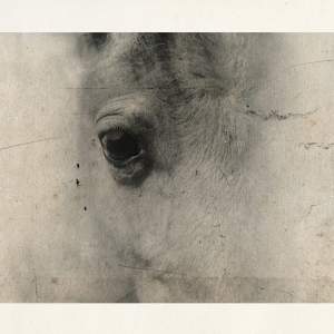 Roberto Kusterle, Cartaceri