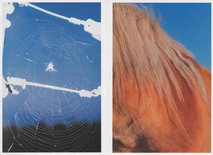 Henrik, Journal of Contemporary Photography / #1 Trials - Image 2
