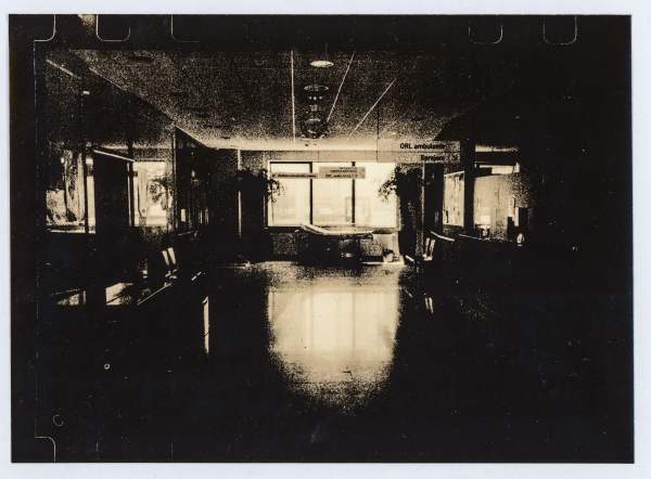 Peter Fettich, Zmečkane jagode, 2025