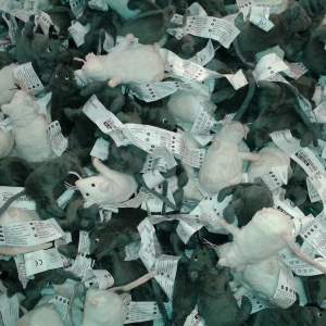 Zsuzsanna Kemenesi, Mouses and People, 2019